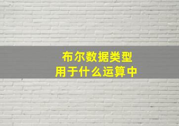 布尔数据类型用于什么运算中