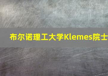 布尔诺理工大学Klemes院士