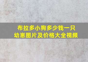 布拉多小狗多少钱一只幼崽图片及价格大全视频