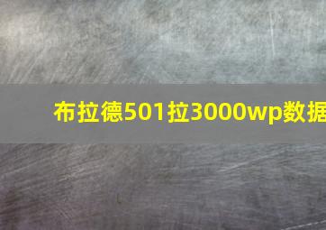 布拉德501拉3000wp数据