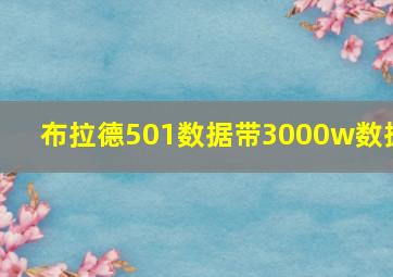 布拉德501数据带3000w数据