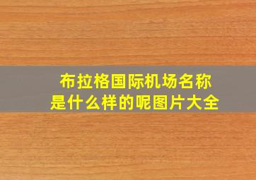 布拉格国际机场名称是什么样的呢图片大全