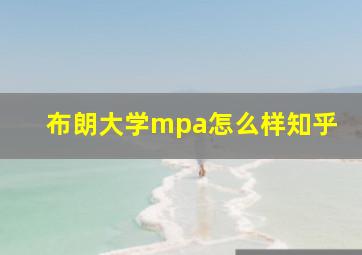 布朗大学mpa怎么样知乎