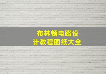 布林顿电路设计教程图纸大全