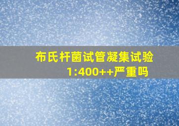 布氏杆菌试管凝集试验1:400++严重吗