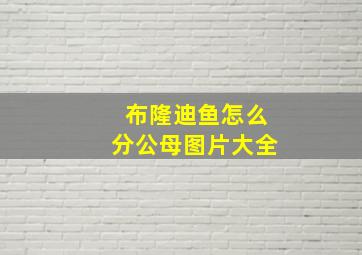 布隆迪鱼怎么分公母图片大全