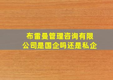 布雷曼管理咨询有限公司是国企吗还是私企