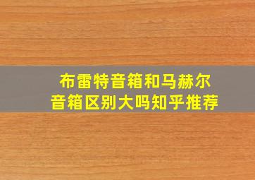 布雷特音箱和马赫尔音箱区别大吗知乎推荐