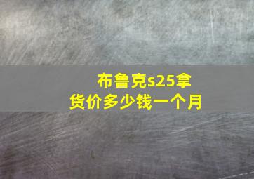 布鲁克s25拿货价多少钱一个月