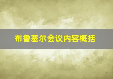 布鲁塞尔会议内容概括