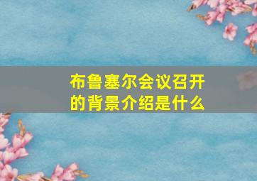 布鲁塞尔会议召开的背景介绍是什么