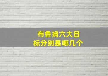 布鲁姆六大目标分别是哪几个