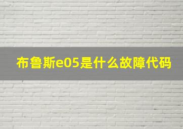 布鲁斯e05是什么故障代码