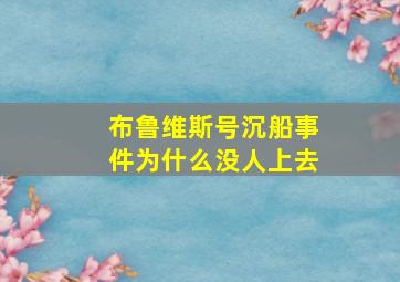 布鲁维斯号沉船事件为什么没人上去