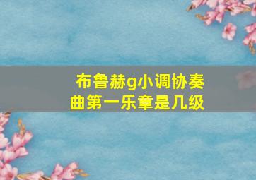 布鲁赫g小调协奏曲第一乐章是几级