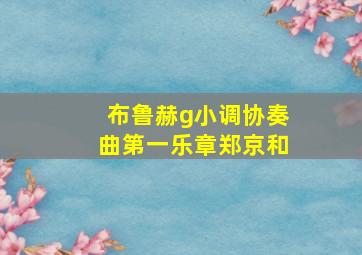 布鲁赫g小调协奏曲第一乐章郑京和