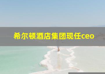 希尔顿酒店集团现任ceo