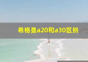 希格曼a20和a30区别