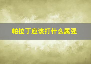 帕拉丁应该打什么属强