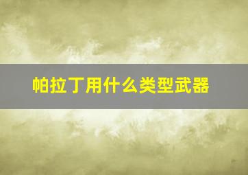 帕拉丁用什么类型武器