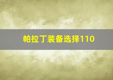 帕拉丁装备选择110