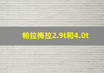 帕拉梅拉2.9t和4.0t