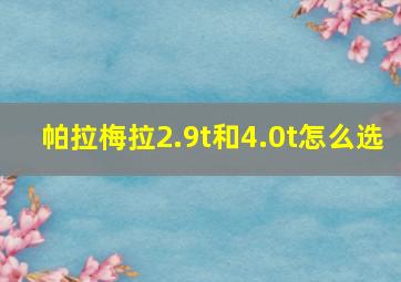 帕拉梅拉2.9t和4.0t怎么选