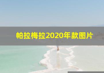 帕拉梅拉2020年款图片