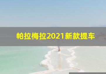 帕拉梅拉2021新款提车