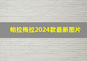 帕拉梅拉2024款最新图片