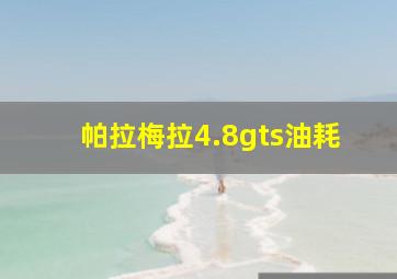 帕拉梅拉4.8gts油耗