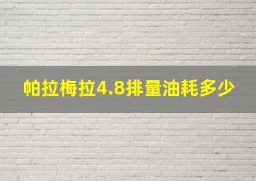 帕拉梅拉4.8排量油耗多少