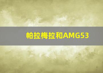 帕拉梅拉和AMG53