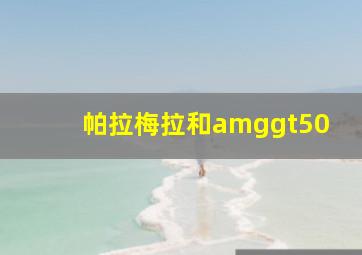 帕拉梅拉和amggt50