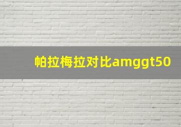 帕拉梅拉对比amggt50