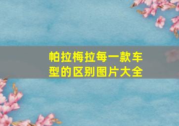 帕拉梅拉每一款车型的区别图片大全