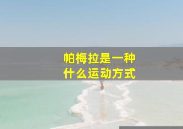 帕梅拉是一种什么运动方式