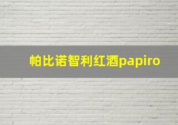 帕比诺智利红酒papiro