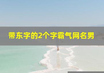 带东字的2个字霸气网名男