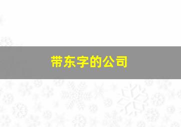 带东字的公司