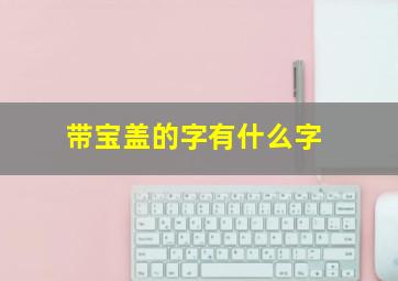 带宝盖的字有什么字