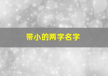 带小的两字名字