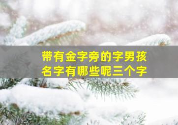 带有金字旁的字男孩名字有哪些呢三个字