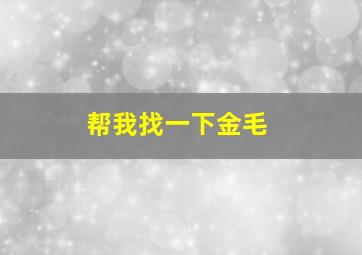 帮我找一下金毛