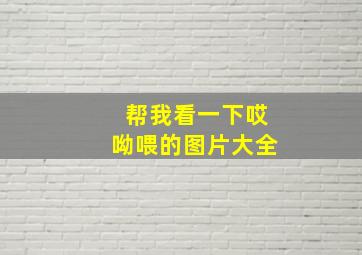 帮我看一下哎呦喂的图片大全