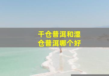 干仓普洱和湿仓普洱哪个好