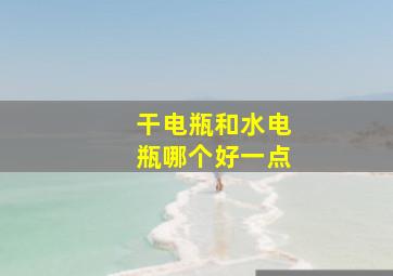 干电瓶和水电瓶哪个好一点