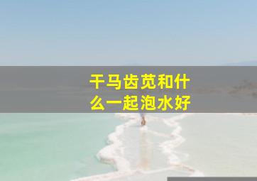 干马齿苋和什么一起泡水好