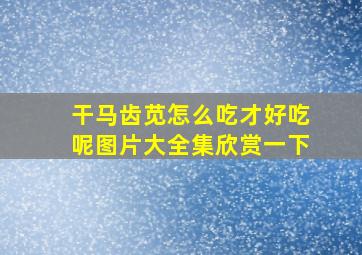 干马齿苋怎么吃才好吃呢图片大全集欣赏一下