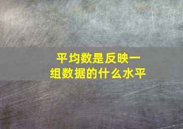 平均数是反映一组数据的什么水平